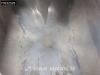 Spitzer SFS 2x Liftachse 39m3 Cement Photo 10 thumbnail
