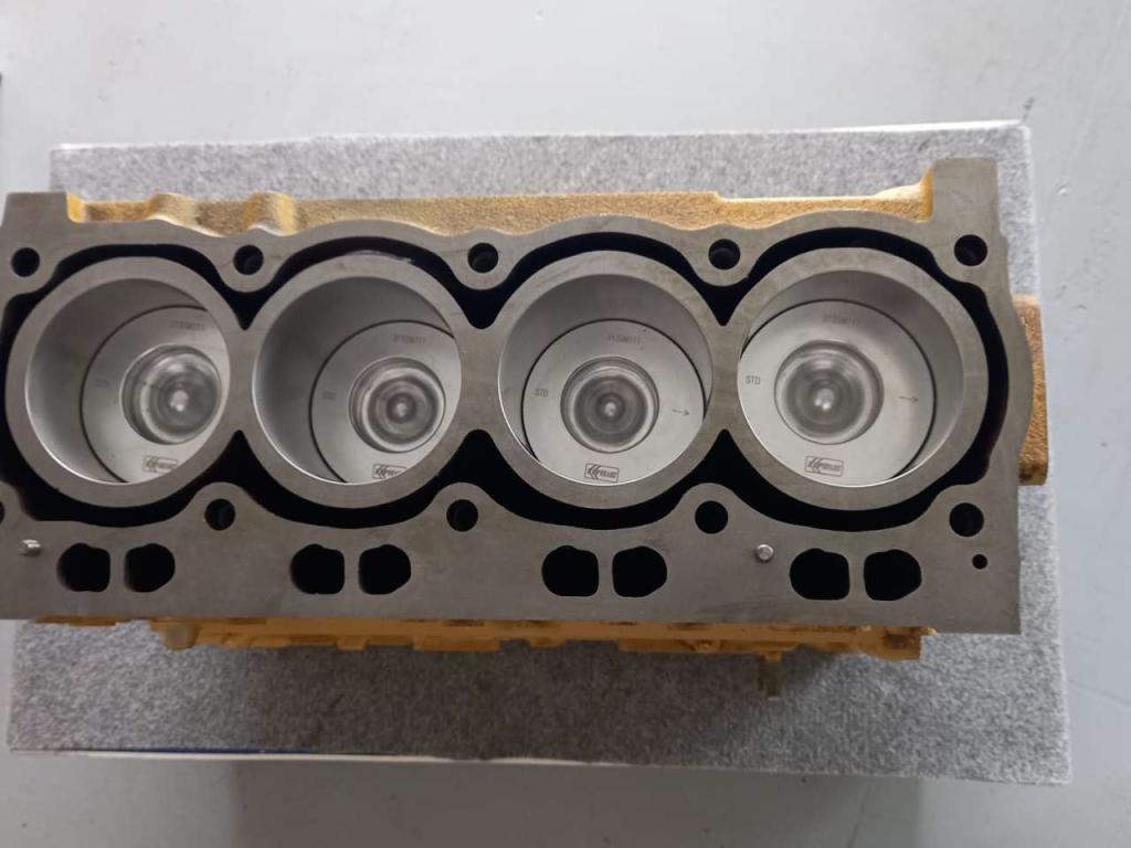 Moteur à bloc court pour Caterpillar 3054C Photo 2