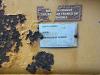 Caterpillar D 6 R XL III Photo 12 thumbnail
