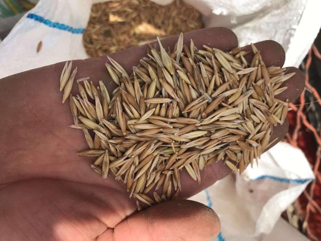 Kubota SR35/40 Photo 4