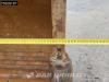 Liebherr R970 S HD Photo 12 thumbnail