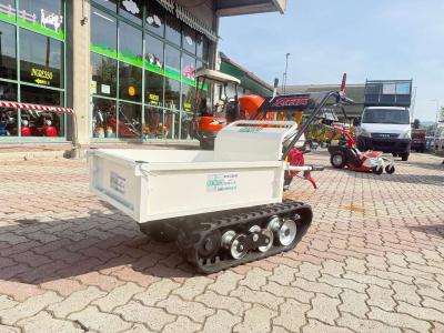 Tekna 400 HONDA AGRICOLA FORESTALE - UNICA SUL MERCATO - CAMBIO A LEVA SU CONSOLE en vente par Giordano Srl