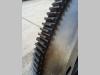 Volant moteur pour Fiat AD7 - FL8 - CODICE 585261 Photo 2 thumbnail