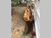 Lame pour bulldozer pour Fiat Allis FL10C, FL10B Photo 1 thumbnail