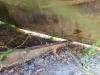 Fiat Hitachi W170 Photo 9 thumbnail