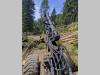 John Deere 1470D Photo 7 thumbnail