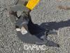 Wacker Neuson 803 Photo 20 thumbnail