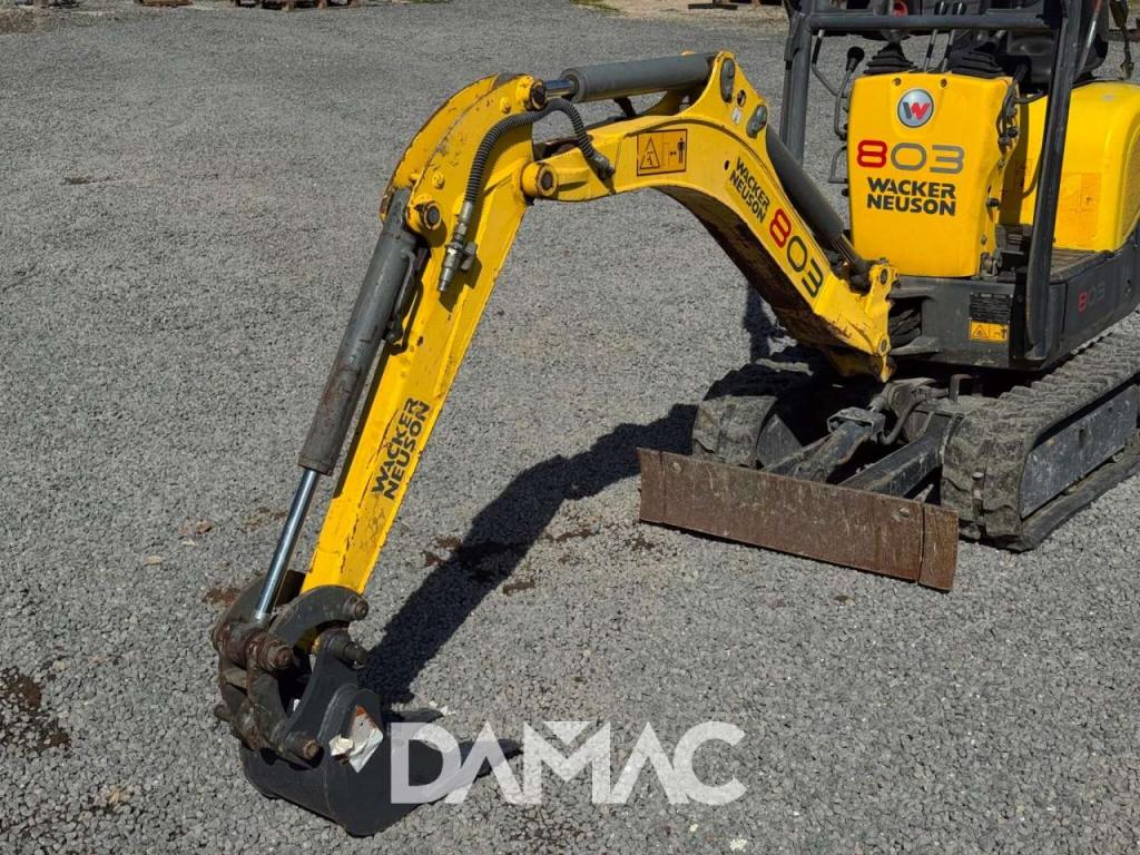 Wacker Neuson 803 Photo 18