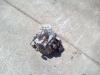 Pompe hydraulique de transmission pour Fiat Hitachi W170 Photo 2 thumbnail