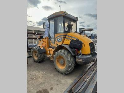 Venieri VF 4.63 en vente par CGM Gruppo Servizi Srl