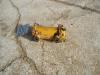 Échangeur de chaleur pour Caterpillar 920 - MOTORE 3304 - Photo 2 thumbnail
