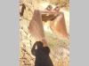 MANTOVANI 1400 Photo 3 thumbnail