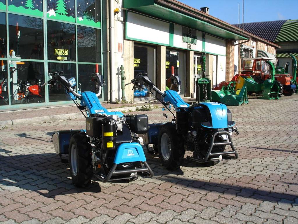 Bertolini 413 S REVERSIBILE - DIESEL EMAK LOMBARDINI Photo 2