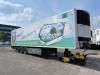Margaritelli Italia FRIGORIFERO Photo 1 thumbnail