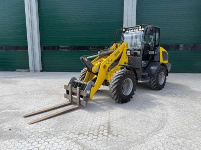Wacker Neuson WL 54 LOW HOURS en vente par JN Machines BV