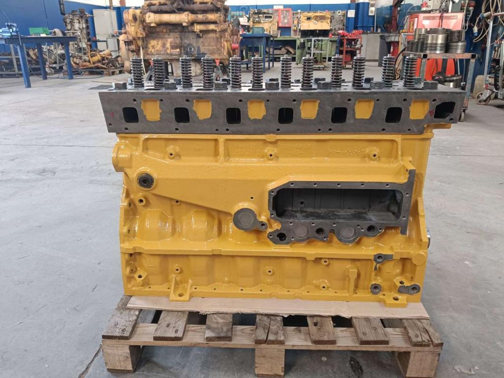 Moteur à bloc long pour Caterpillar LONG BLOCK 3116 Photo 1