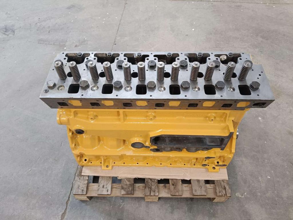 Moteur à bloc long pour Caterpillar LONG BLOCK 3116 Photo 2