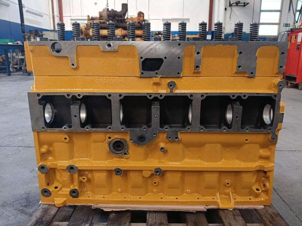 Moteur à bloc long pour Caterpillar LONG BLOCK 3116 Photo 3