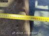 Takeuchi TB295 W Photo 21 thumbnail