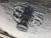 Schmitz SCB*S3T 3 axles Sliding Roof Photo 29 thumbnail