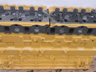 Moteur à bloc long pour Caterpillar 3066 en vente par CERVETTI TRACTOR Srl