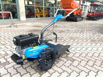 Bertolini 350 en vente par Giordano Srl