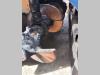 Marini MF 564 Photo 8 thumbnail