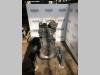 Iveco NEF F4GE0684 Photo 1 thumbnail