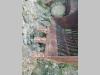 Fiat Hitachi BENNE Photo 10 thumbnail