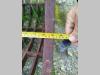 Fiat Hitachi BENNE Photo 13 thumbnail