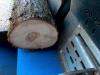 Balfor CONTINENTAL 414 C JOY TRIFASE 15 KW o AZIONATA a TRATTORE Photo 19 thumbnail