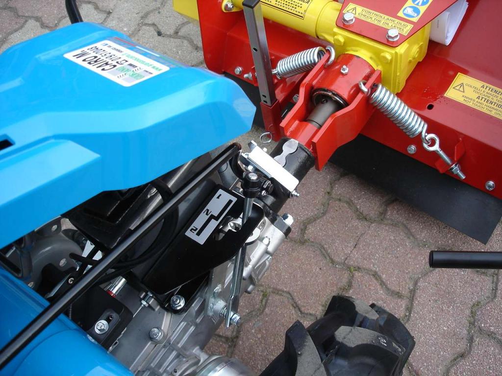 Bertolini 407 S HONDA - CON TRINCIA ZANON Photo 16