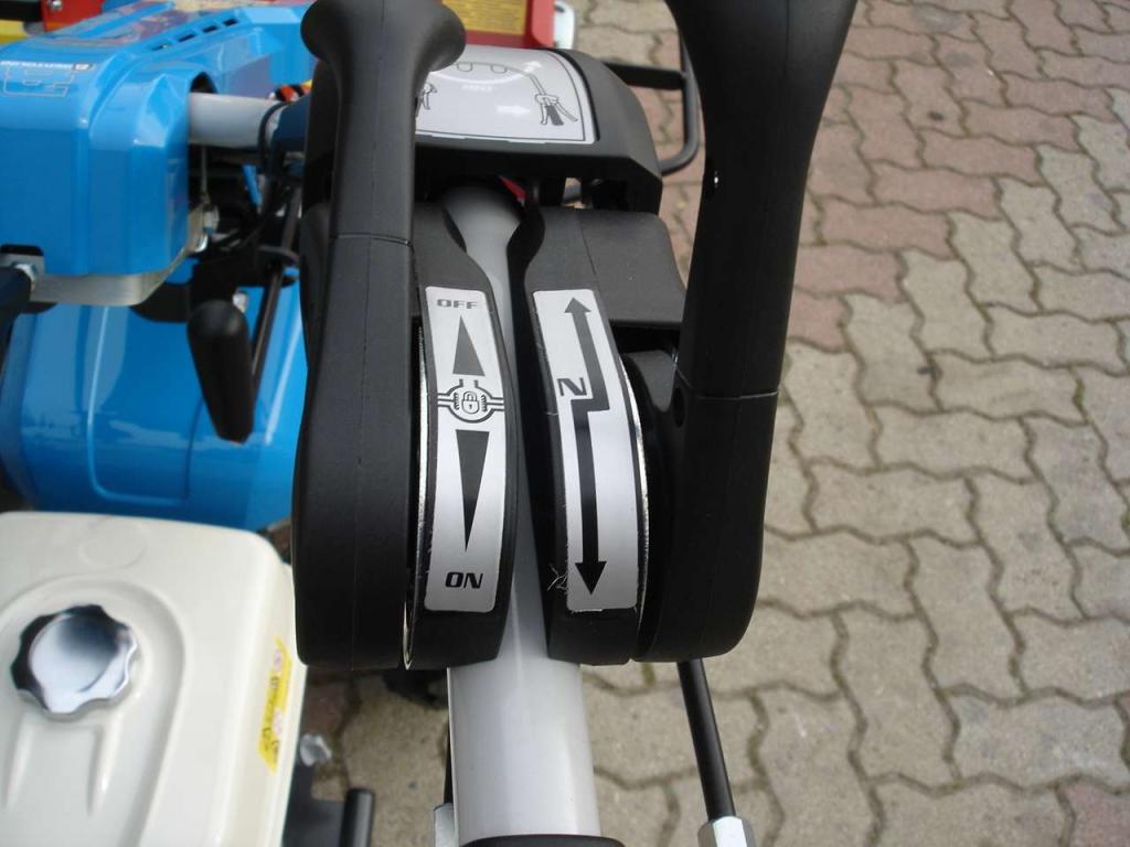 Bertolini 407 S HONDA - CON TRINCIA ZANON Photo 19
