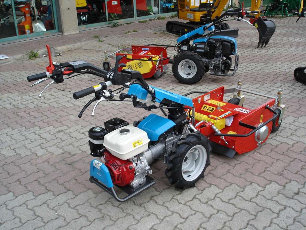 Bertolini 407 S HONDA - CON TRINCIA ZANON Photo 6