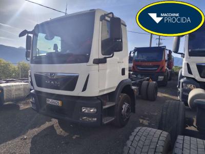 Man TGM 15.290 en vente par Procida Macchine S.r.l.