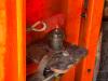 Towerlight Hydro Power Cube Photo 15 thumbnail