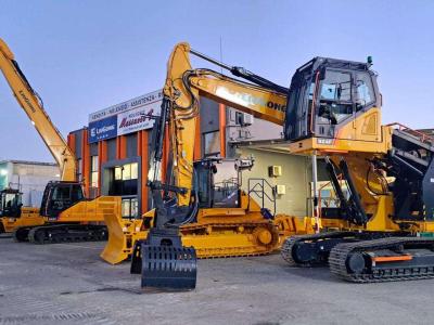 Liugong 924F en vente par Massucco T. Srl