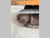 Fiat Hitachi FH 200 E Photo 5 thumbnail