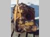 Transmission pour Fiat Allis FL14D - FL14E - FL10E - CODICE 79032242 Photo 3 thumbnail