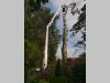 Cela Spyder DT22 Photo 8 thumbnail