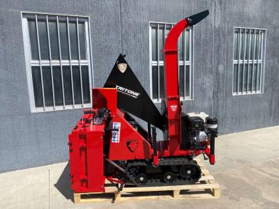 Ceccato-Olindo Tritone Big Cingo en vente par Emme Service Srl
