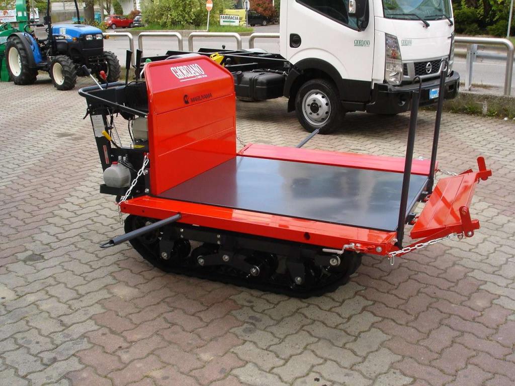 Gior 1000 AGRICOLA FORESTALE HONDA Photo 14