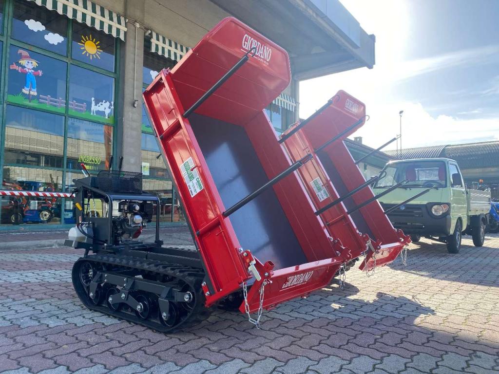 Gior 1000 AGRICOLA FORESTALE HONDA Photo 2