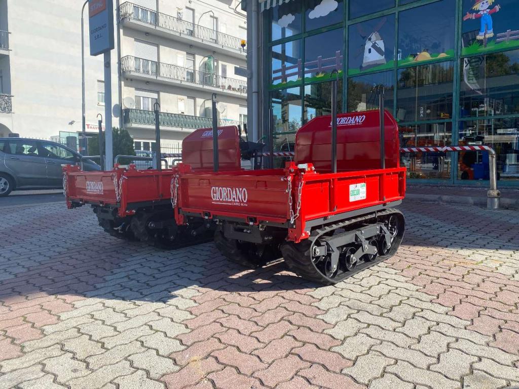 Gior 1000 AGRICOLA FORESTALE HONDA Photo 4
