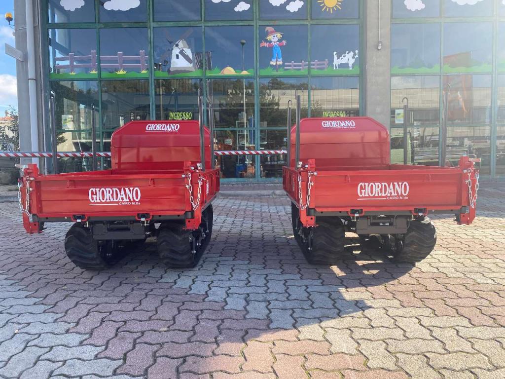 Gior 1000 AGRICOLA FORESTALE HONDA Photo 8