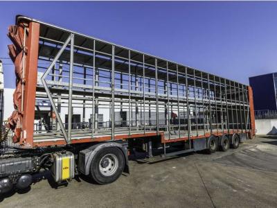 Lecitrailer CUELLO CISNE 3E-RD+DOUBLE ETAGE+DHOLLANDIA 2TON en vente par Braem NV
