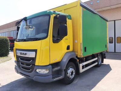 Daf LF 230 FA en vente par PSL Autocarri Srl