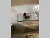 Réservoir de huile pour JLG LIFT 450 AJ Photo 6 thumbnail