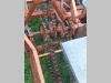 GILIOLI Caricaballe Photo 3 thumbnail