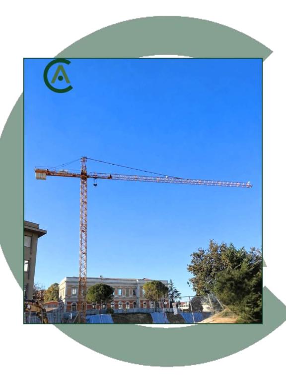 Liebherr 63 LC Photo 1